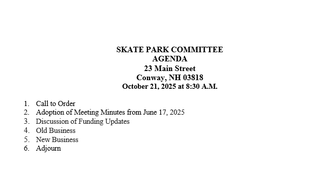 Skate Park Agenda