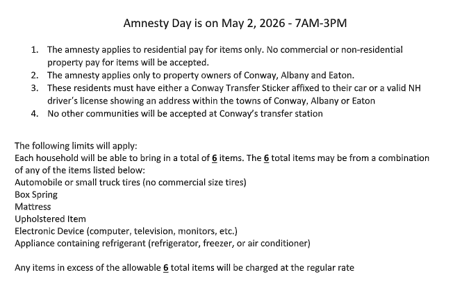 Amnesty Day Rules