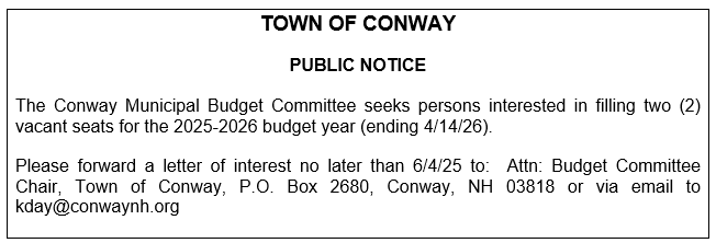 Budget Committee Vacancy